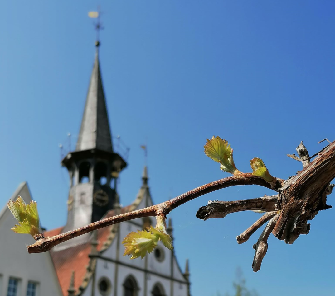 Italinischer Abend in der Altstadt